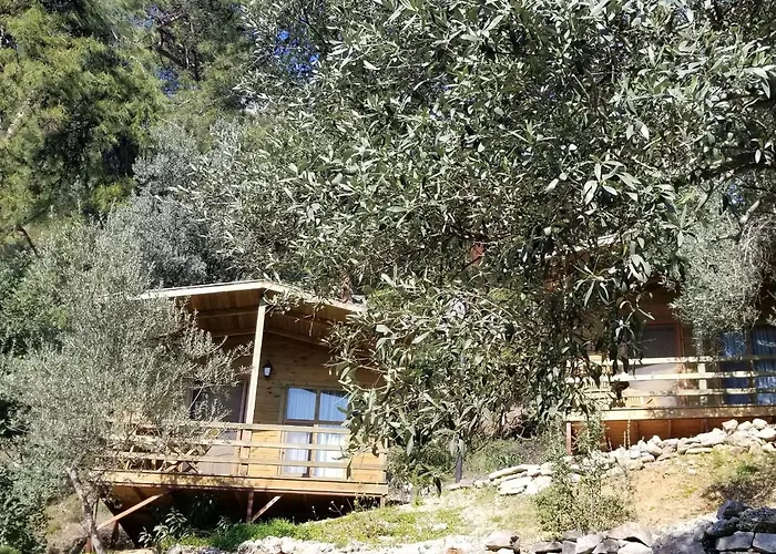 Yavansu Ciftligi * Μούγκλα